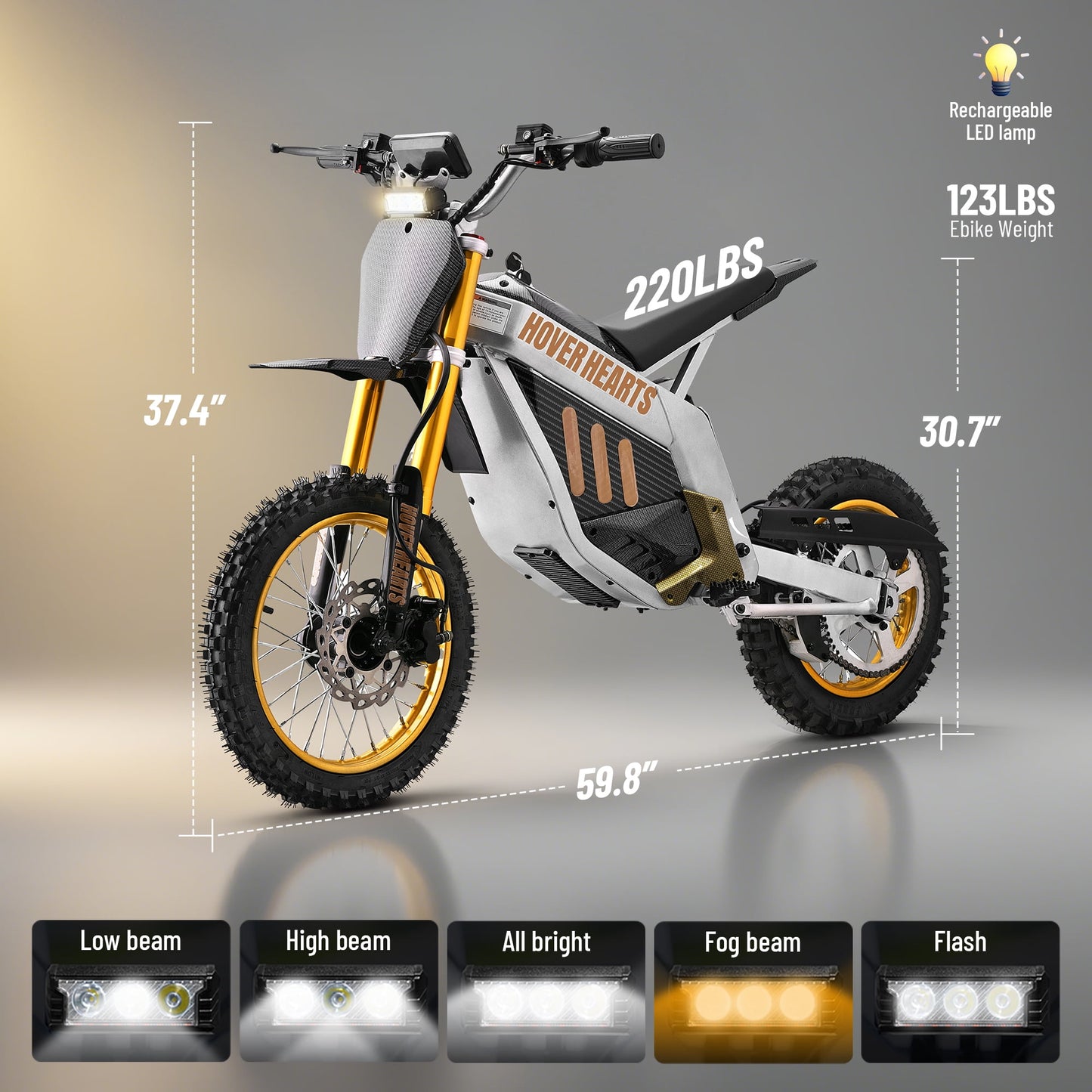Aoemoe 48V Electric Dirt Bike 3000W (Peak Power) 55km/h(Gold)