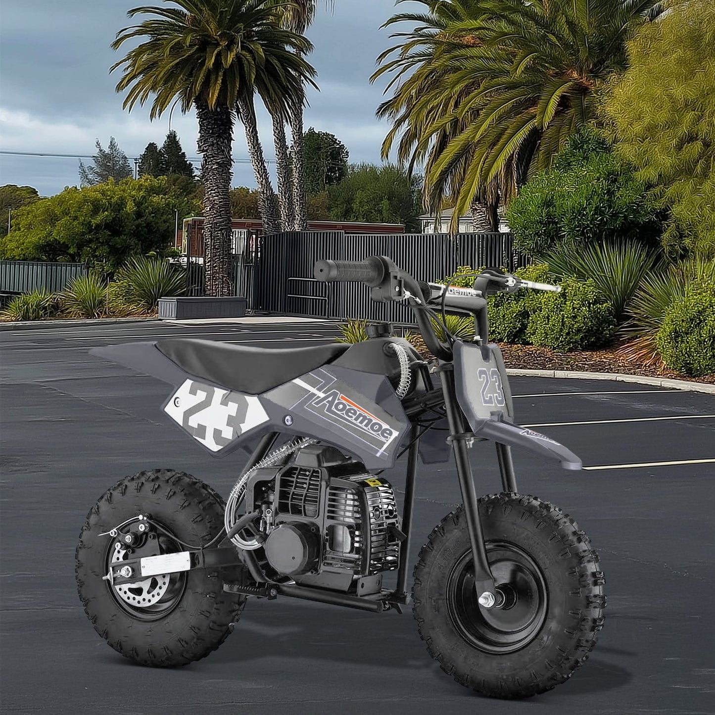 Aoemoe 49cc Kids Dirt Bike Gas Powered, Mini Off-Road Motorcycle with Suspension & Disc Brakes, 18 Mph, 160 Lbs Capacity, Black
