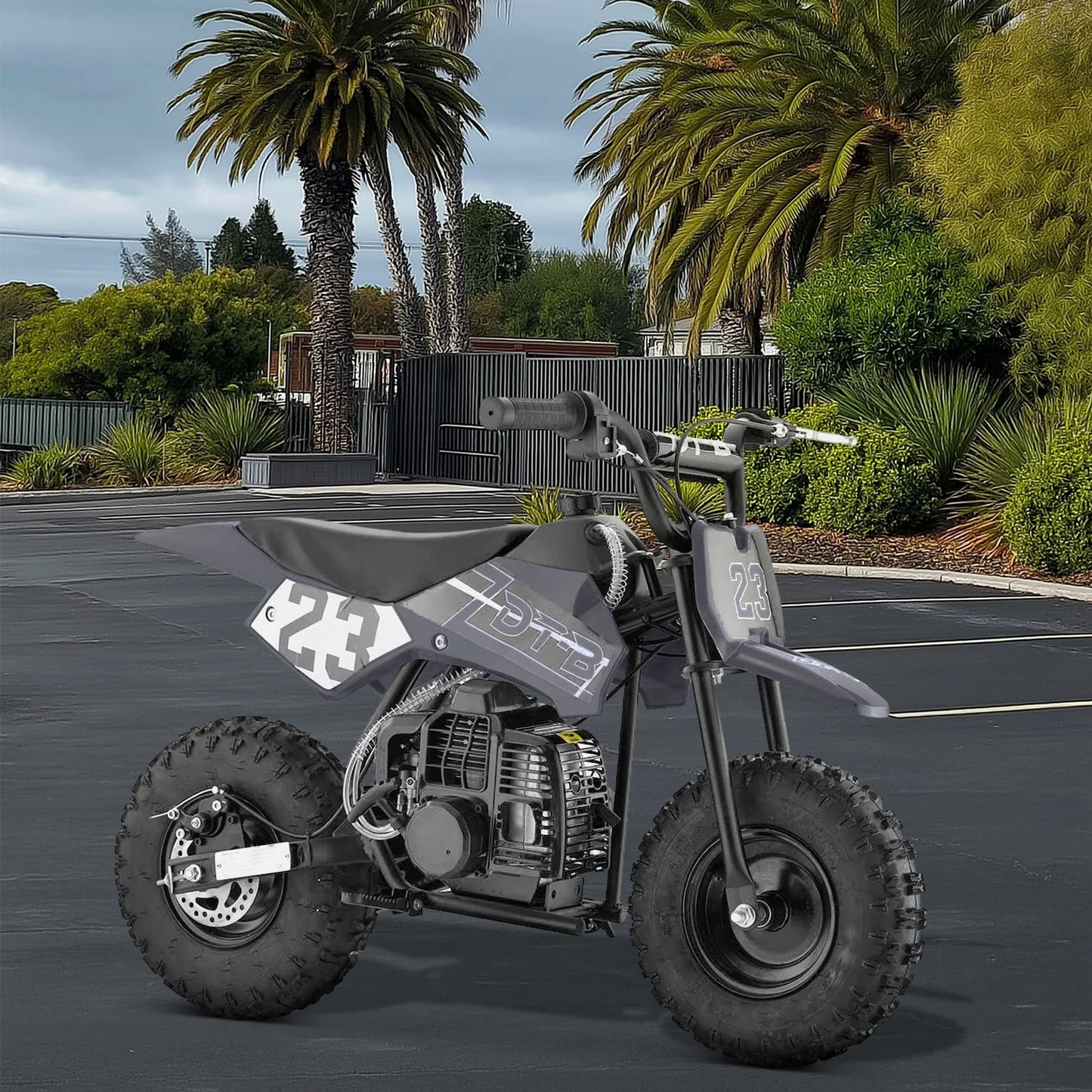 Aoemoe Mini Kid Dirt Bike, 49 CC 2-Stroke Gas Bike with Off-Rode Tire, Suspensions, Disc Brakes, Max Load 160Lbs, Up to 20Mph, EPA Approved