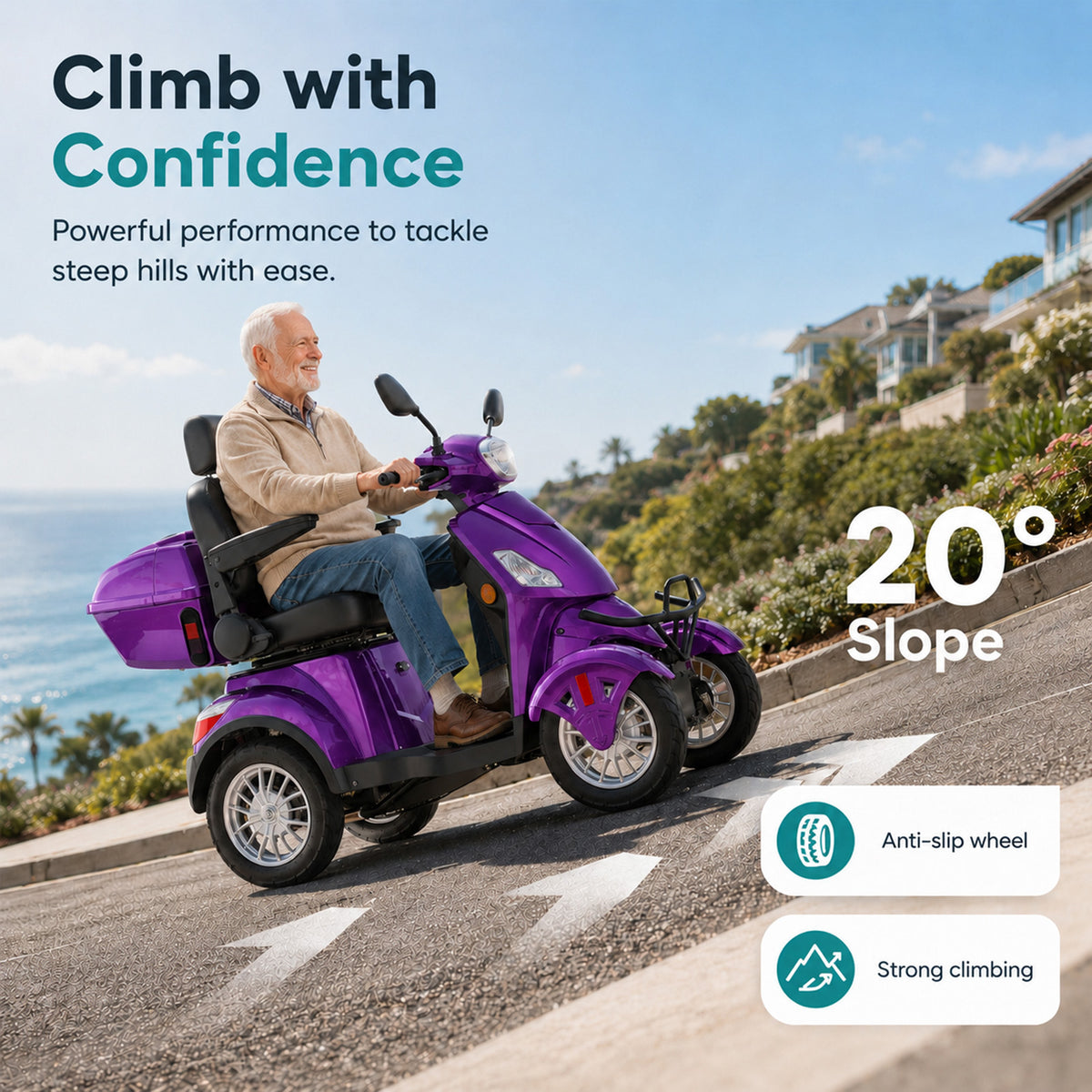 LiltJan Electric Mobility Scooter for Adults Seniors, Heavy Duty 4 Wheel All Terrain Scooter with 800W Brushless Motor, 500 lbs Capacity, 31 Miles Range, 15 MPH Adjustable Speed, Full Suspension