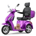 Tcdjtc Mobility Scooters for Seniors, Motorized Scooter for Adults with 3 Wheels, Off Road Disability Scooter with 25-31 Miles Long Range, Electric Mobility Scooter with 800W Motor, 500 lb Capacity