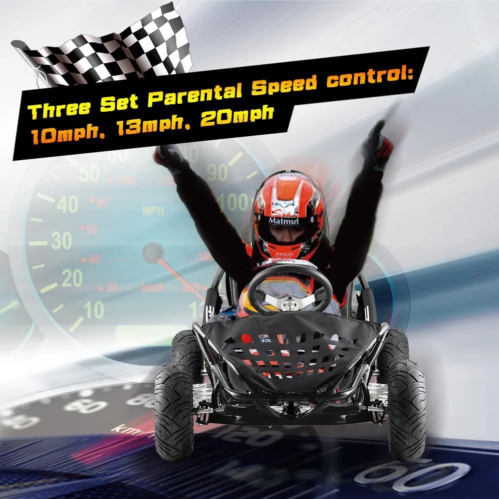 QEASET Electric Go Kart, 48V Powered Ride On Car with Steel Tubular Frame, Seat Belt, 13 inch All-Terrain Tires for Teens(BLACK)
